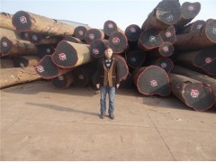 上海洪煌木業(yè)閔行經(jīng)營部 專業(yè)木材銷售，精選全球優(yōu)質(zhì)木材