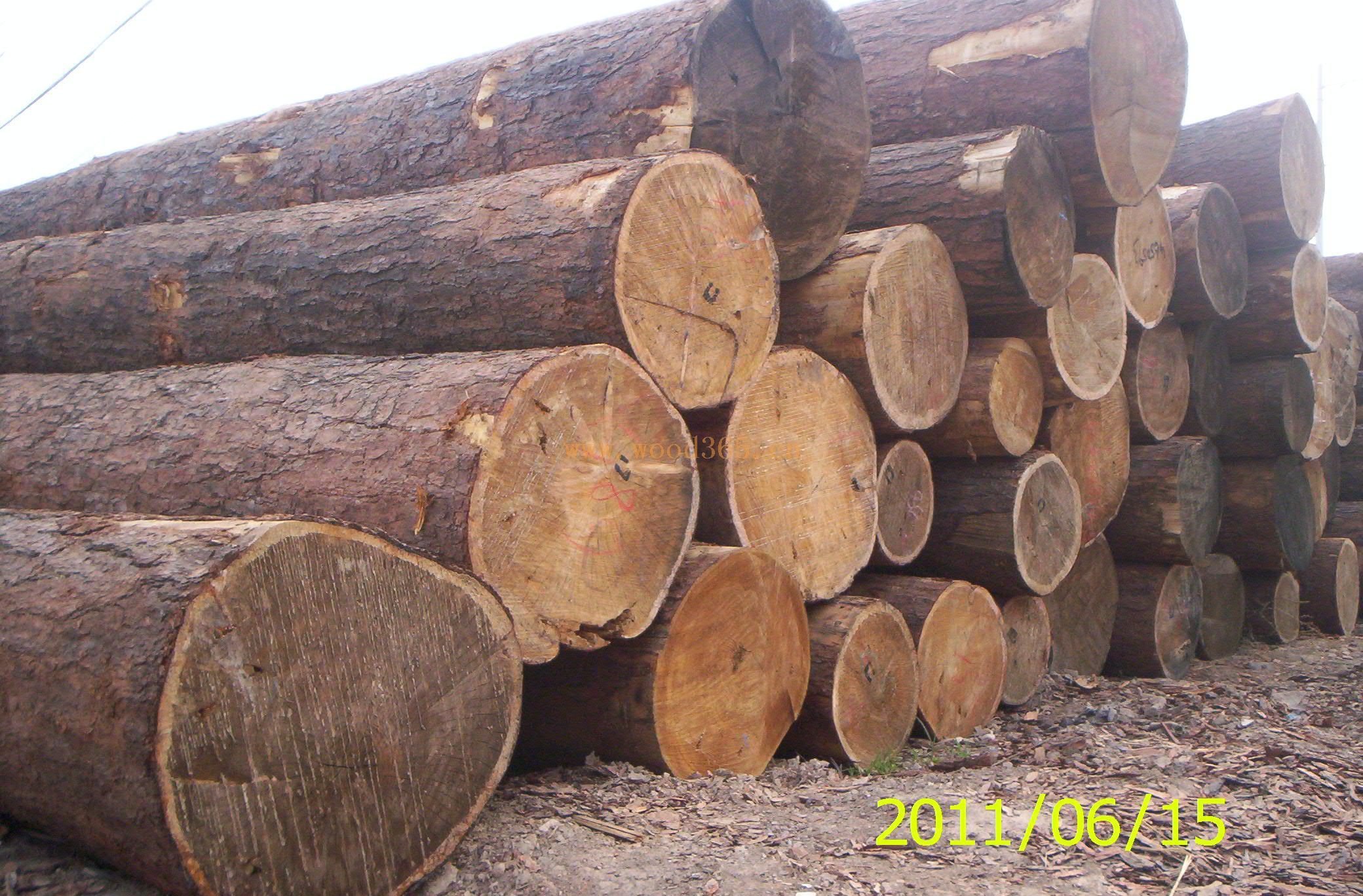 紅松原木、樟子松原木、落葉松原木與雜木——德州木材總公司的多元化供應(yīng)與服裝服飾批發(fā)