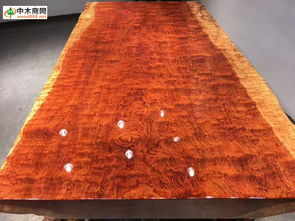 中木商網木業頭條 聚焦福建家有名木廠家直銷，一站式獲取木材批發價格、產品圖片與品牌信息