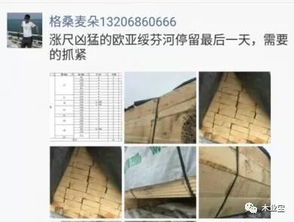 履約思源，不忘初心 2017年11月11日精品木材銷售信息速遞