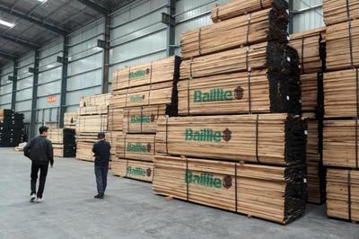 木材價格飆升下的產業(yè)陣痛 青島工廠無奈轉讓折射行業(yè)困境