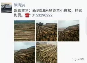 履約思源，不忘初心——精品木材銷售啟事